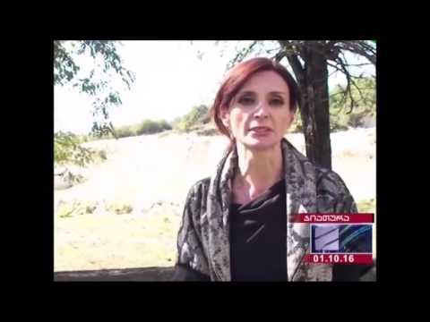 ანი მიროტაძე \"ქართულ ოცნებას\" ბანერის დაზიანებაში ადანაშაულებს