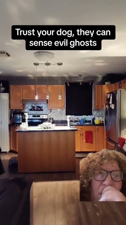 If My Dog Acts Like This We Are GONE reaction scary scareddog jennifer-tilley-tillys-wifey-jenny-beautiful-people-daniel-oc