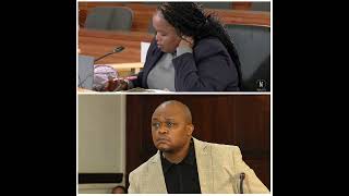 “Brown Mogotsi talks aloud” Witness I tells the Madlanga Commission