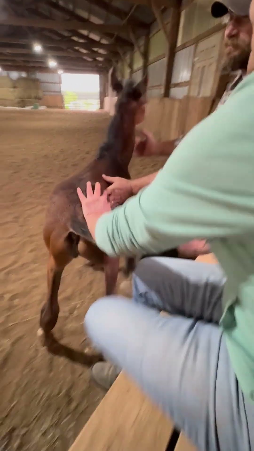 Spicy Foal Tries To High Five With Back Hooves || ViralHog