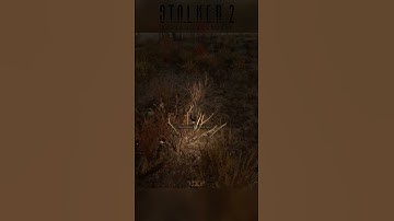 STALKER 2 Random Artifact Location (Garbage Zone)