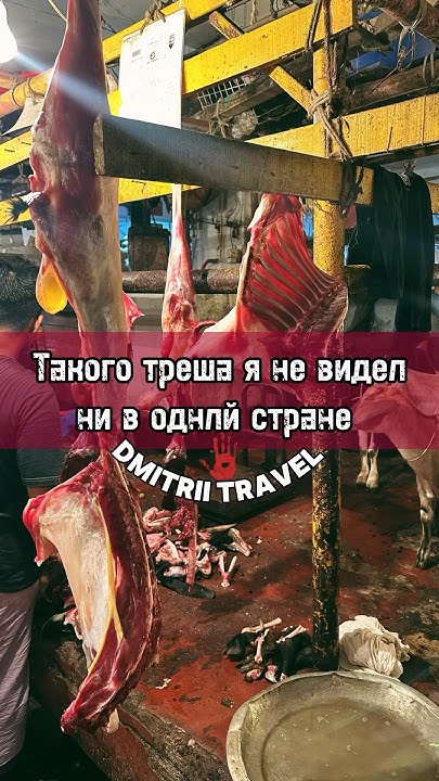 Весь ужас базаров в Бангладеш. Лужи крови и смрад #бангладеш # ...