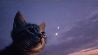forget about it and relax.