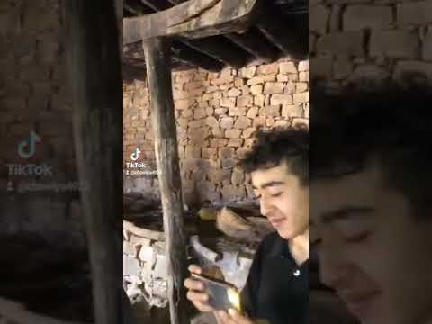 شاوية بنت الأوراس