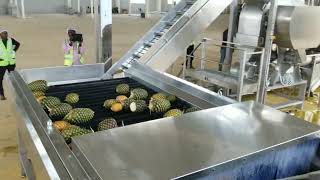 Pineapple juice processing line