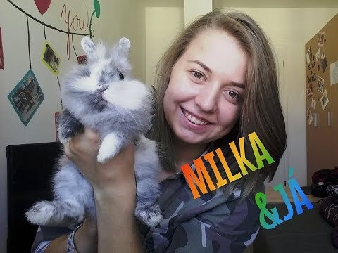 Video: Jak Krmit Králíka