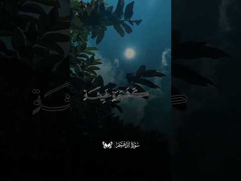 و م ث ل ك ل م ة خ ب يث ة ك ش ج ر ة خ ب يث ة تلاوة رائعة للشيخ عبد الوهاب الطنطاوي سورة إبراهيم