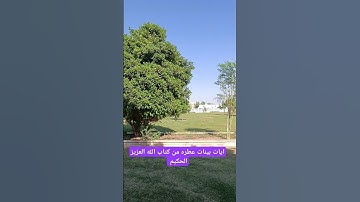 آيات بينات عطره من كتاب الله العزيز الحكيم #كن_مع_الله_ولا_تبالي #قران_كريم