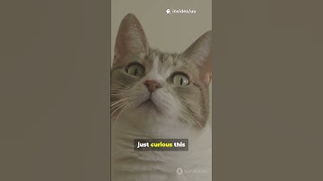 You Won’t Believe This AI Update! 🤯 #nextgenai #ai #ai2025 #futureofai #futureofwork #technology