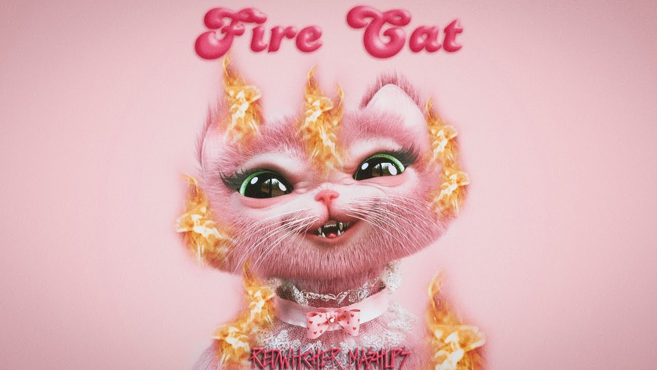 ✧ Fire Drill x Copy Cat (Mashup) - Melanie Martinez 2x & Tierra Whack ✧