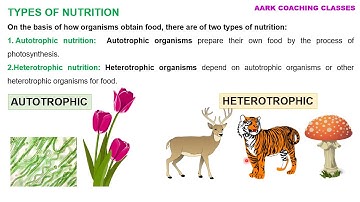 CBSE Science Class 10  Chapter 6 Life Processes Part 2