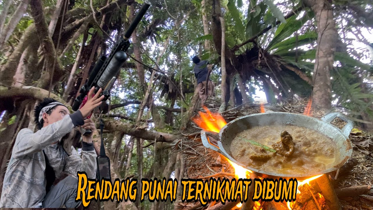 Tak menyangka jumpa spot punai terindah di sini hutan alami menyimpan ribuan punai
