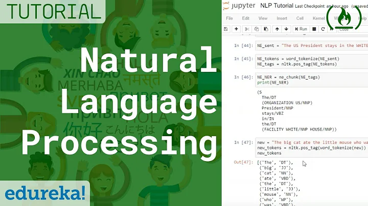 Natural Language Processing (NLP) Tutorial with Python & NLTK