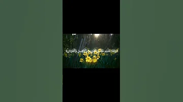 سورة التوبة تلاوة خاشعة قرآن سورة التوبة Quran تلاوة خاشعة القرآن الكريم 
