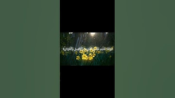 سورة التوبة | تلاوة خاشعة #قرآن #سورة_التوبة #quran #تلاوة_خاشعة #القرآن_الكريم