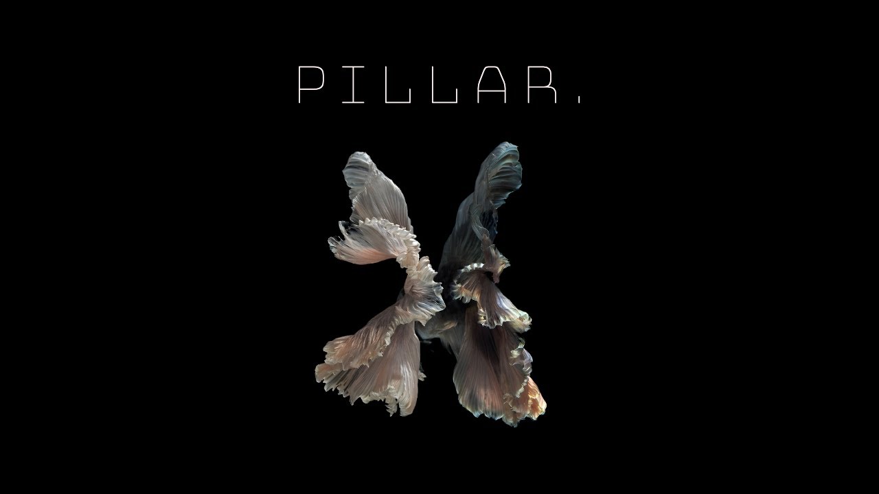 PILLAR.