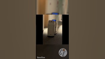 🚨🤖 Collision Alert: Delivery Robots Can