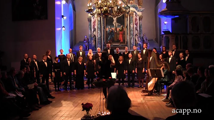 A Cappellissimo & Ruth Potter - Beauty (Arnesen)