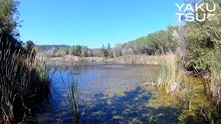 Pêche du Black Bass, du Brochet et de la perche dans le sud de la France.