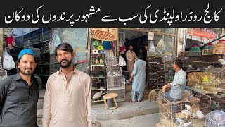 Rawalpindi Birds Market birds prices| famous birds shop