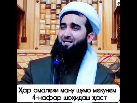 Хар Амале Мекунем 4 Нафар Шохид Аст. Tjk1163