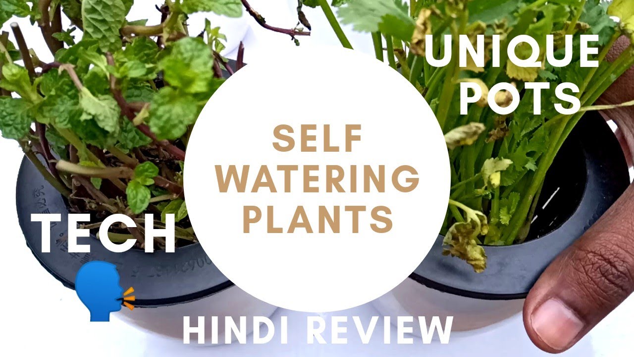 Self Watering Plant Pots Hindi Review🔥 Tech Talk YouTube