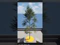 Unreal Engine 5.7 New Feature – Procedural Vegetation Editor