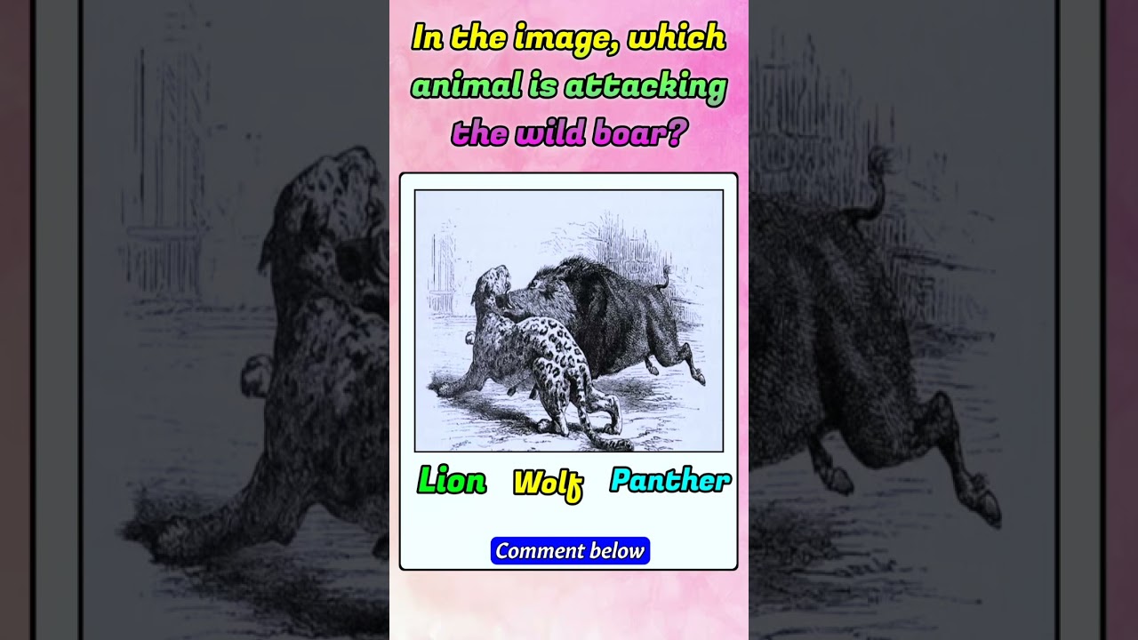 Only people with strong observation skills can spot the which animal is attacking the wild boar,