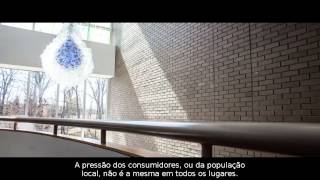 Novus Brand Video-Brazil