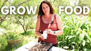 Start These Three Fall Vegetables on Time for Maximum Food Production