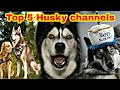 TOP 5 Husky dog channel of youtube that will entertain you in quarantine 2020 | funniest dogs ever