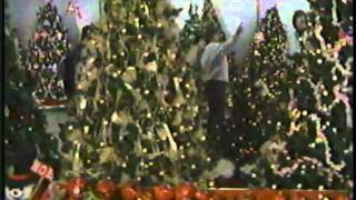 Stein Garden Center - Christmas