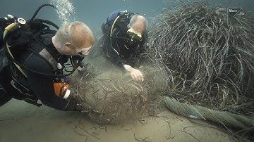 Ghost Nets - Trailer