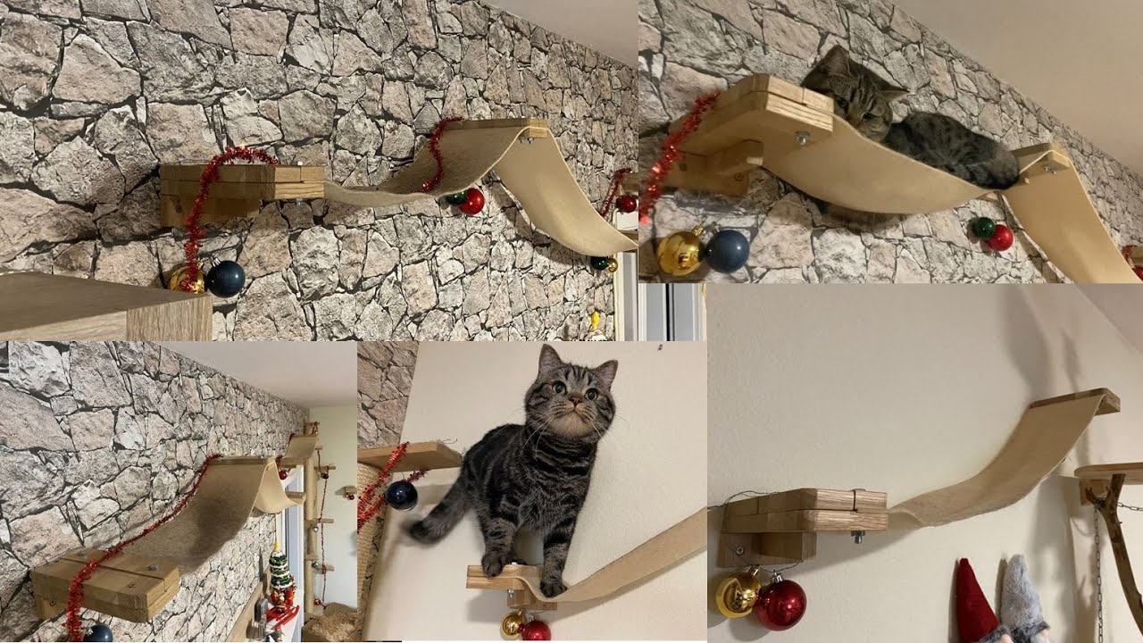 Kletterwand fr Katzen/ Katzenbrcke selber bauen - catwalk for cats