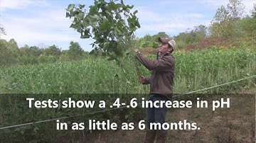 NEW Food Plot Product | DeerGro