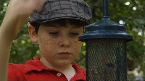 VIC 3001 Module 3 Activity