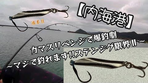 【内海港】カマスリベンジで爆釣劇〜マジで釣れます!!ステンジグ限界Ⅱ〜