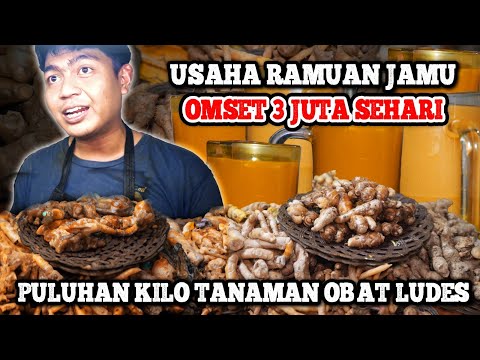 Bahan Bahan Buat Jamu Tradisional