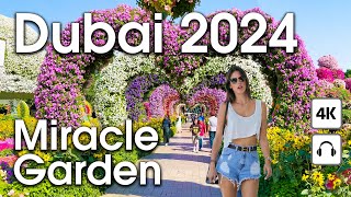 Dubai  Amazing Miracle Garden [ 4K ] Walking Tour