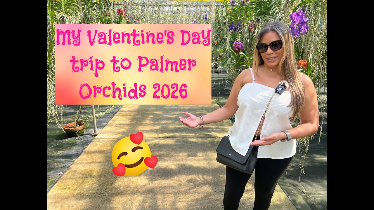 Моя поездка в Палмер Орхидеи на День святого Валентина, 2026 год.