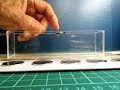 磁気浮上実験Ⅲ Magnetic levitation experiment Ⅲ
