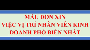 Hướng dẫn viết ĐƠN XIN VIỆC NHÂN VIÊN KINH DOANH phổ biến nhất