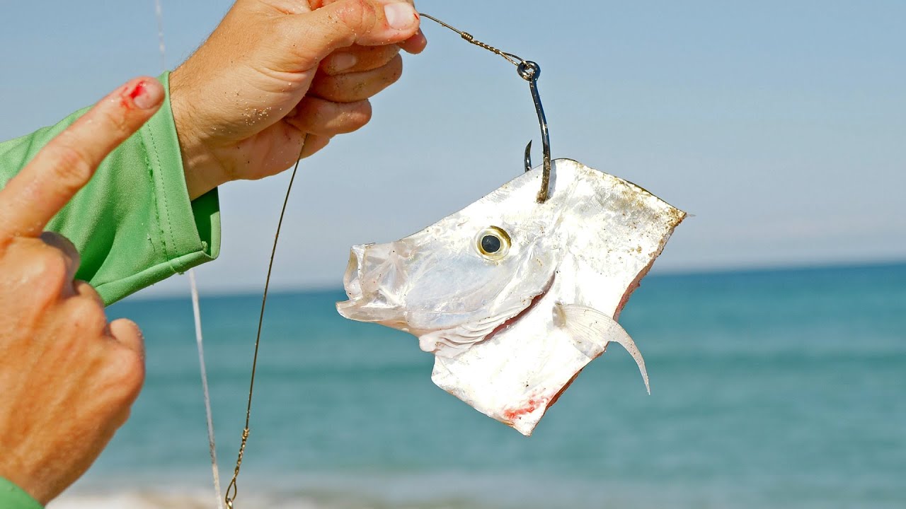 How to Hook Bait to Catch Sharks at the Beach