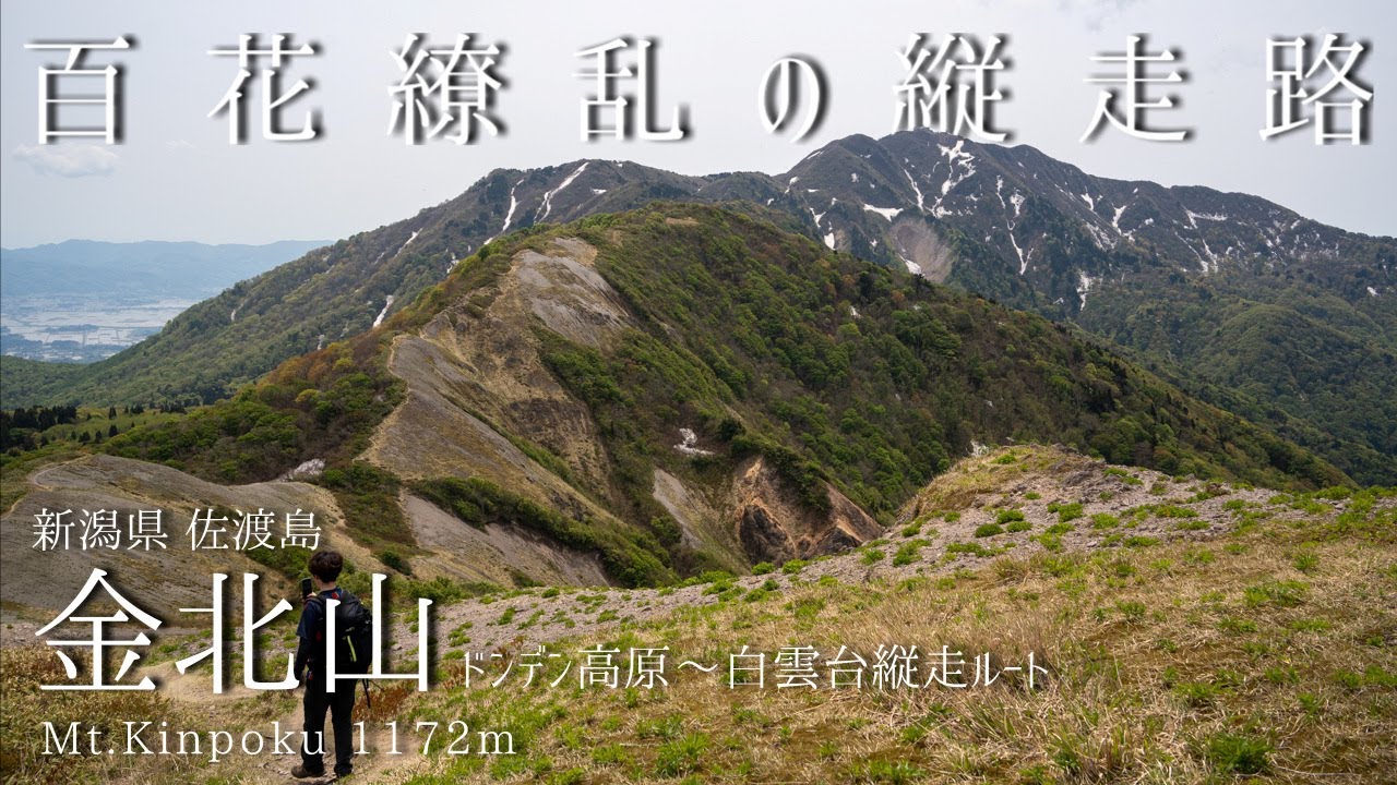 金北山 -ドンデン山荘より登る 百花繚乱の縦走路-