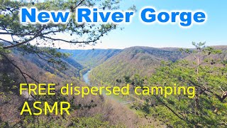 New River Gorge National Park FREE dispersed camping on the river! USA's newest national park ASMR