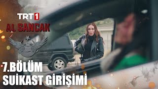 Amy, Berna’nın Peşinde - Al Sancak @alsancaktrt Resimi