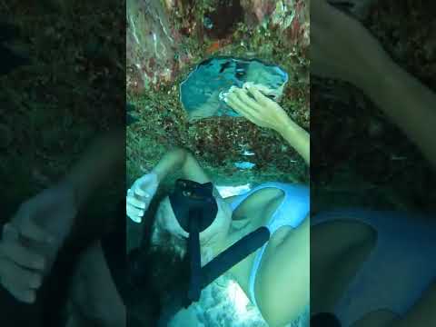 Underwater Air Pocket || ViralHog