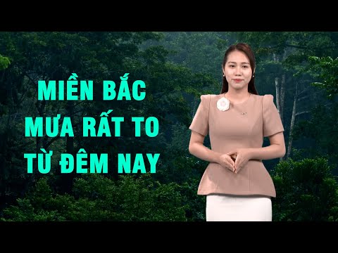 Bản tin thời tiết 20/8: Miền Bắc mưa rất to từ đêm nay, tâm điểm ở khu vực nào?