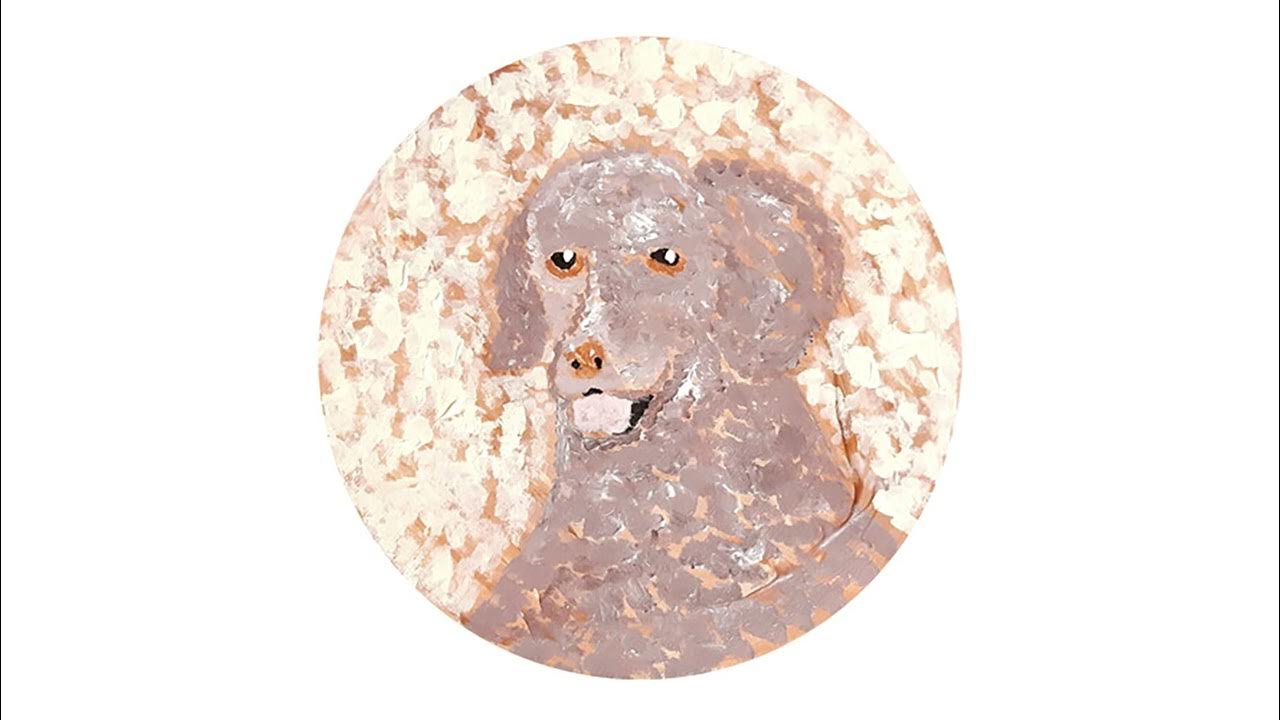 🐶 Стих Про собаку #shorts #стих #стихи #поэзия #поэт #поэтесса # ...