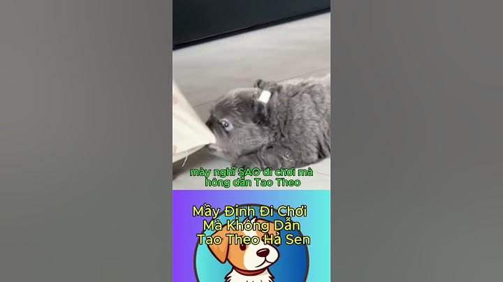 có bác nào yêu em này không #shorts #cute